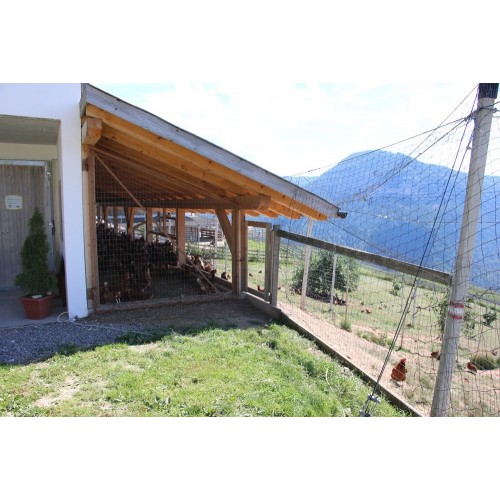 frischen Eiern aus Freilandhaltung