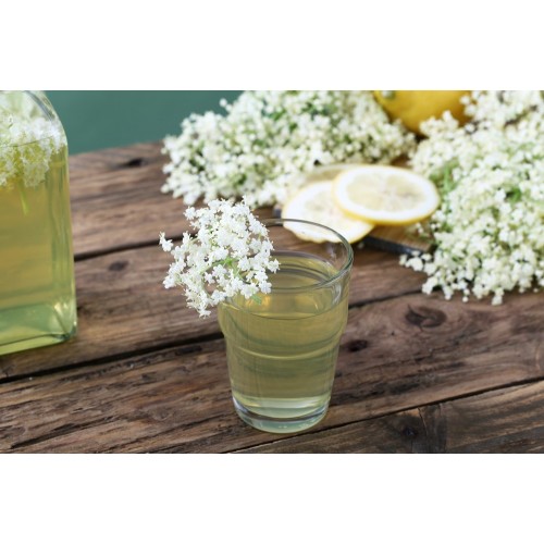 Erfrischender Holundersaft Erfrischender Holundersaft