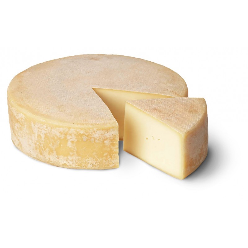 Plottner Käse nach Art des Fontina