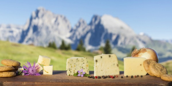 Wie wird der gute Käse aus Südtirol hergestellt?