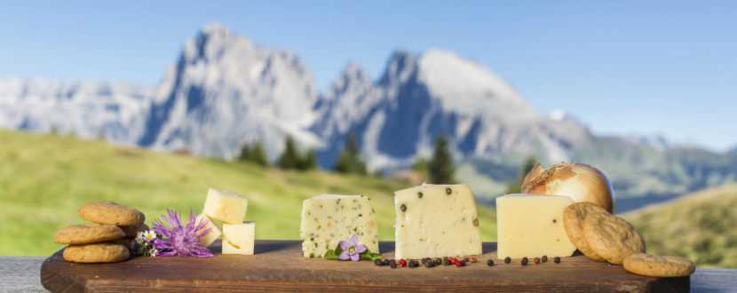 Wie wird der gute Käse aus Südtirol hergestellt?
